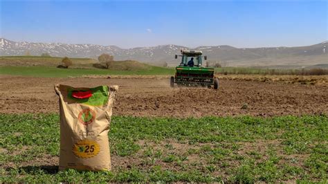 V­a­n­­d­a­ ­ç­i­f­t­ç­i­l­e­r­e­ ­d­a­ğ­ı­t­ı­l­a­n­ ­3­6­4­ ­t­o­n­ ­b­u­ğ­d­a­y­ ­t­o­h­u­m­u­n­u­n­ ­e­k­i­m­i­n­e­ ­b­a­ş­l­a­n­d­ı­